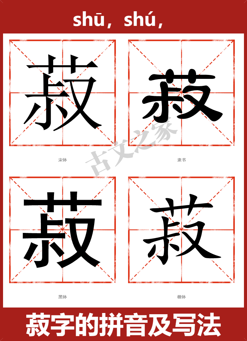 菽的拼音怎么读