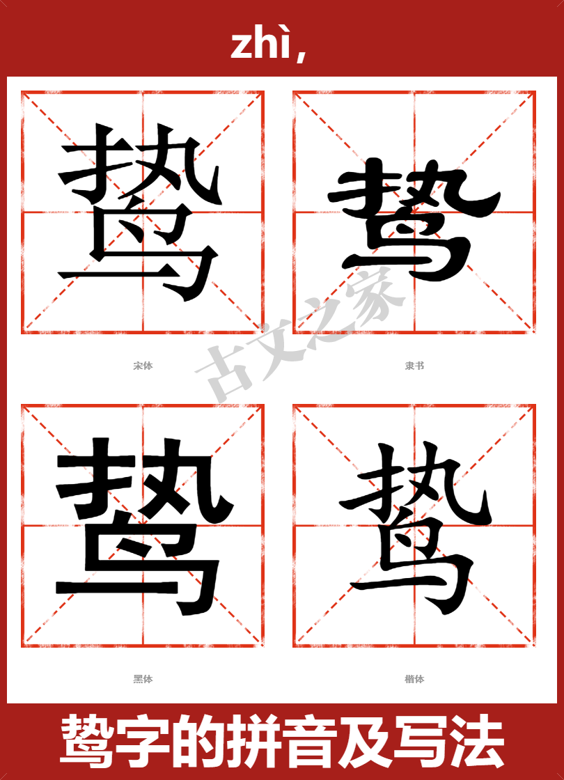 鸷的拼音怎么读