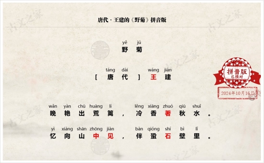 《野菊》拼音版