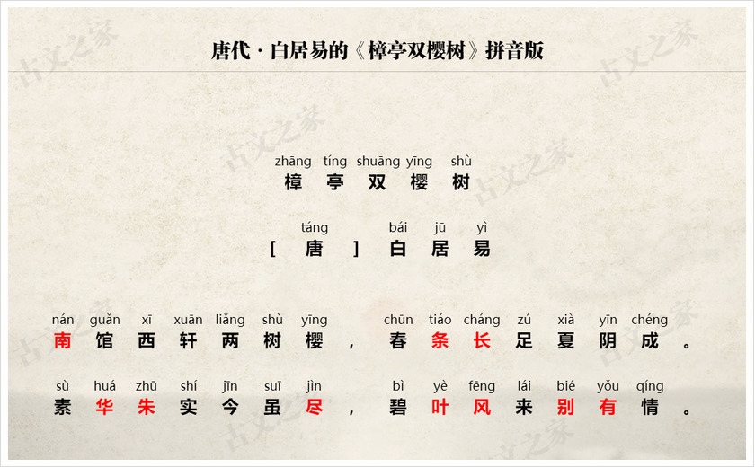 《樟亭双樱树》拼音版